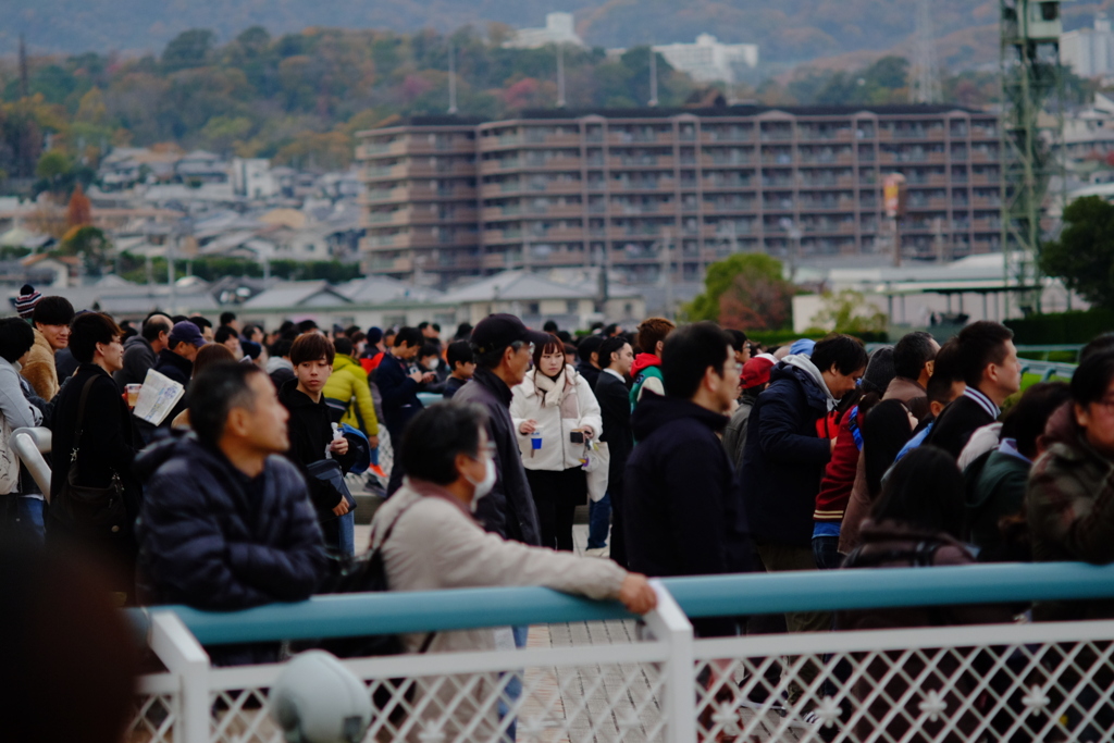 阪神競馬場