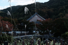 天龍寺