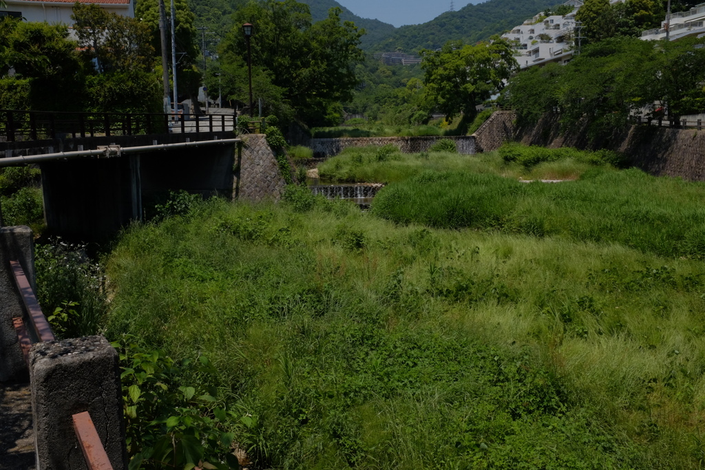 芦屋川