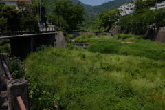 芦屋川