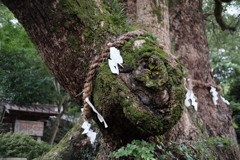 玉祖神社（高安大明神）