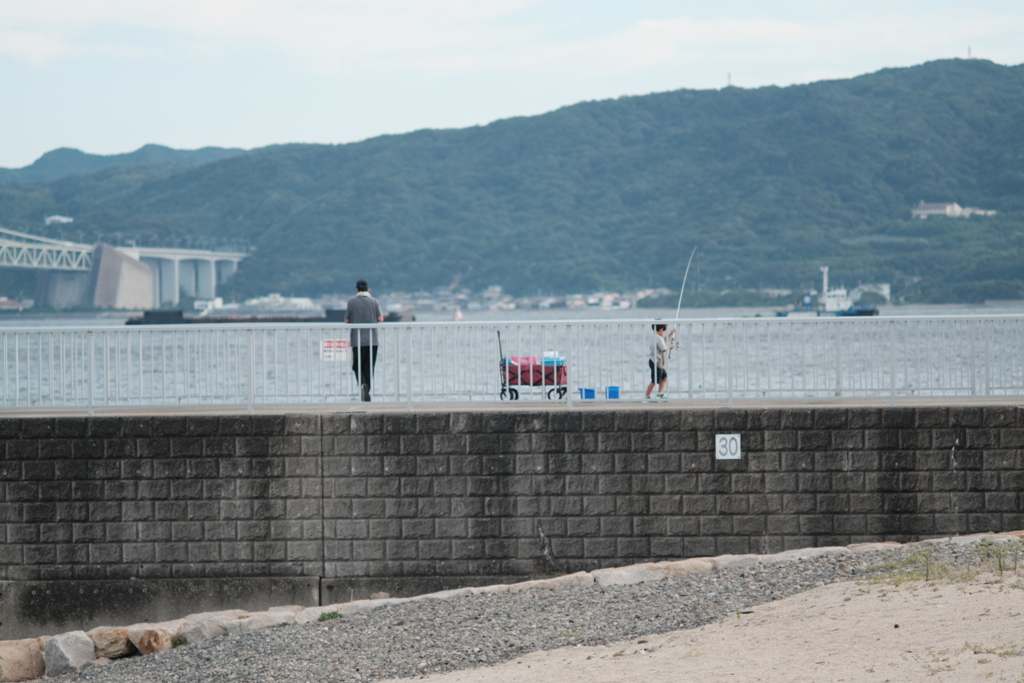 海釣り　親子