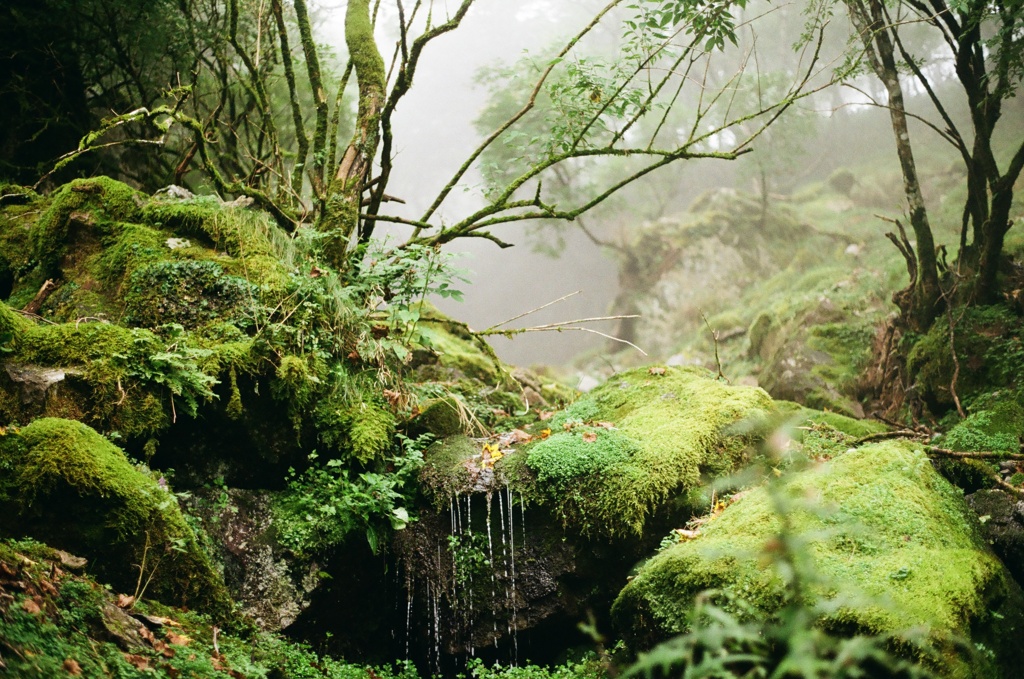 剣山　小川