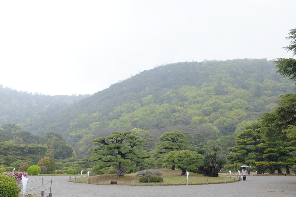 小雨