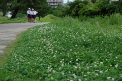 武庫川