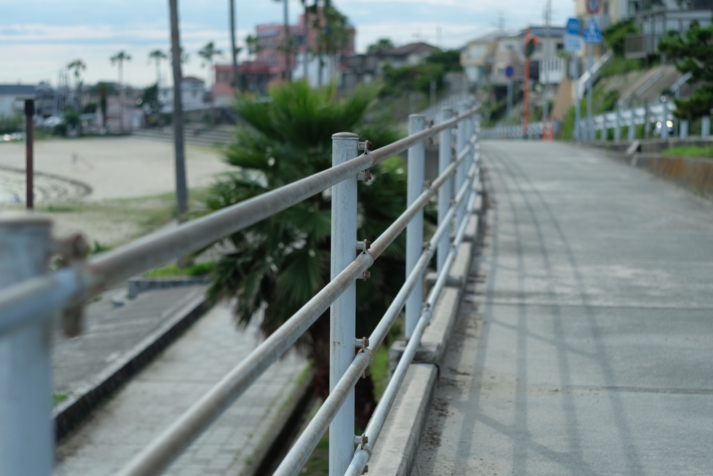 浜の散歩道