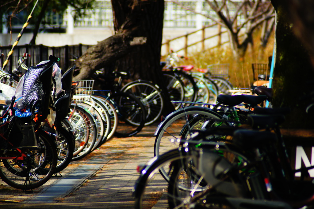 自転車置き場