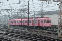 めでたいでんしゃ　さち