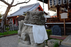 櫻井神社　狛犬
