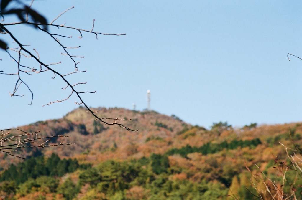 電波塔