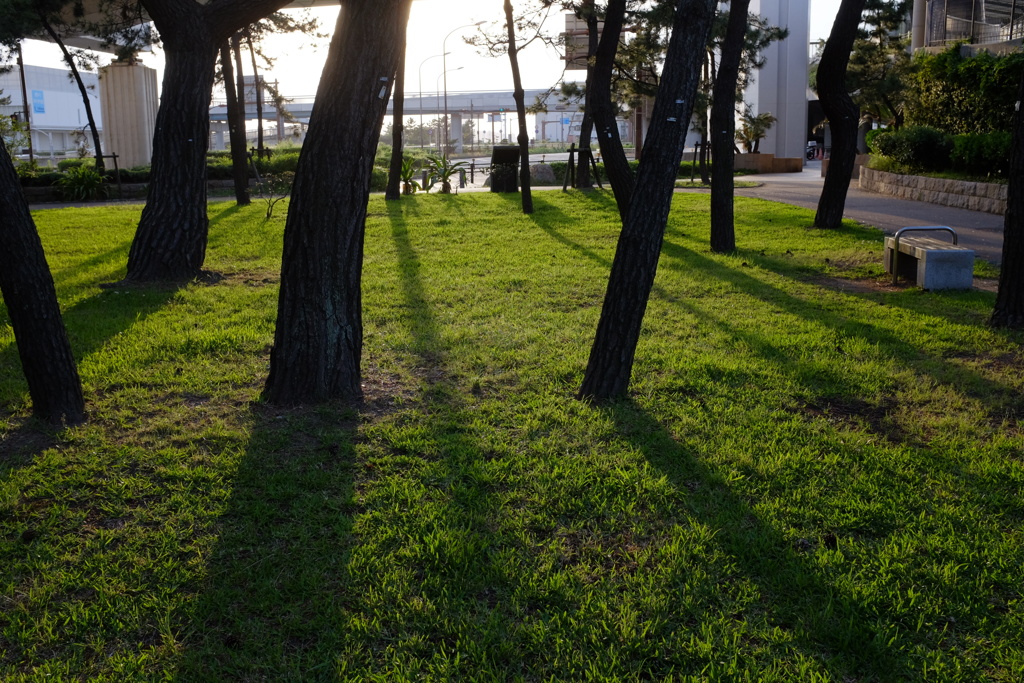 舞子公園