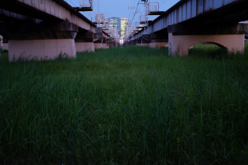 淀川