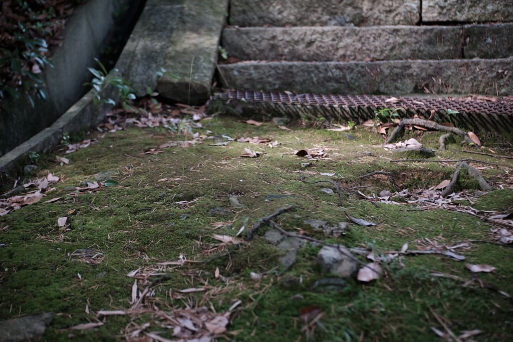 神吉八幡神社　苔道