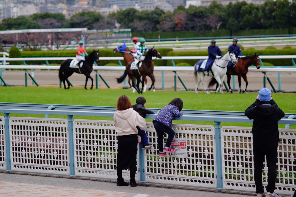 阪神競馬場