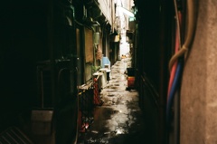 雨の小道