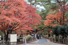 再度公園