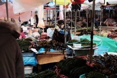 韓国・釜山　市場