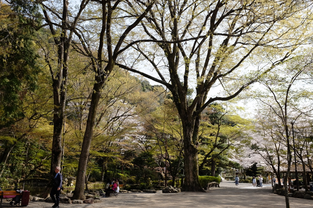 岐阜公園