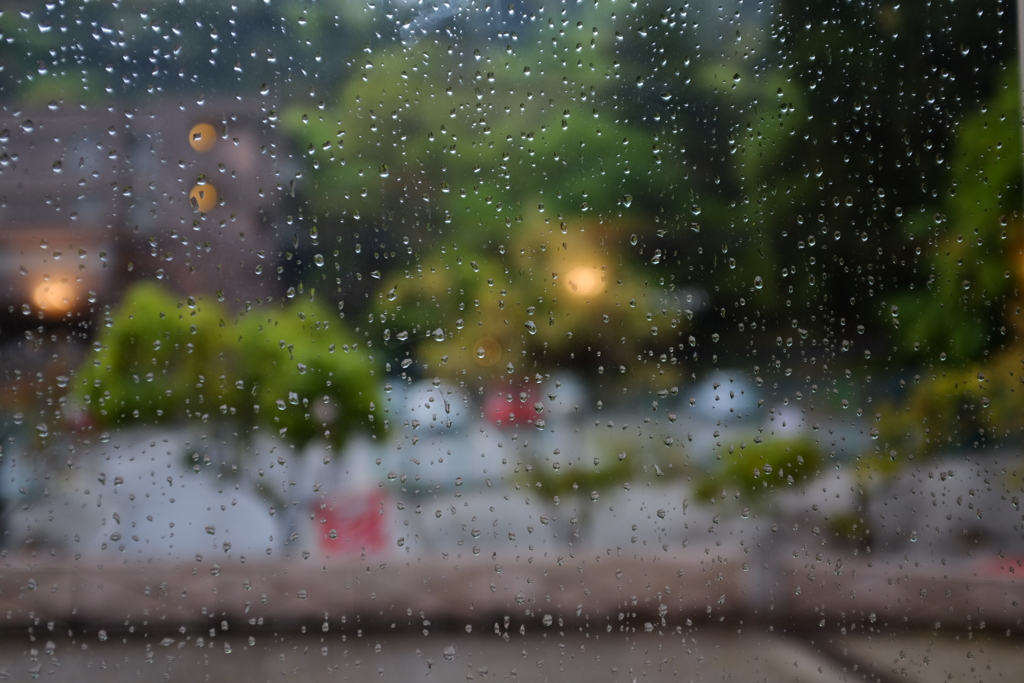 雨
