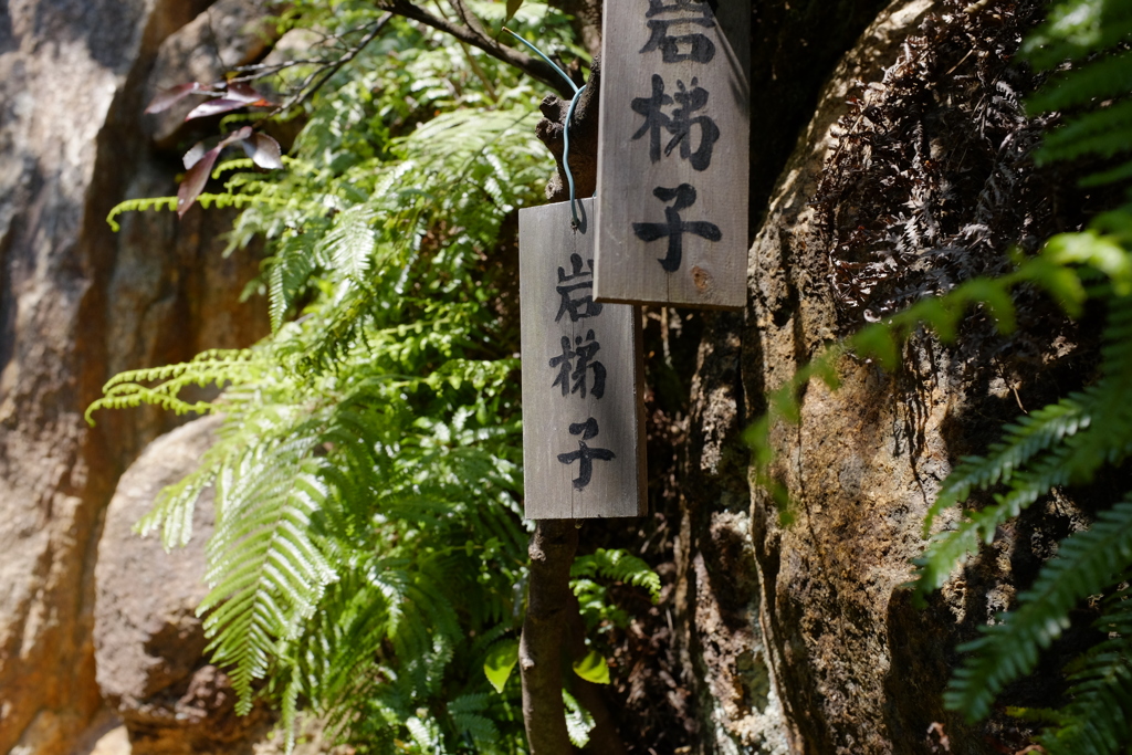 岩梯子