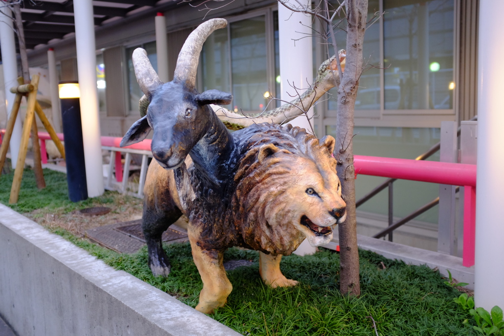 美容専門学校