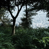 金鳥山