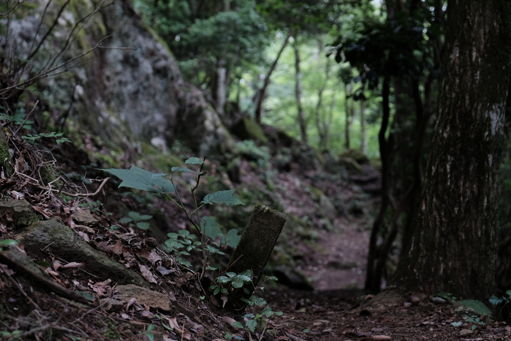 登山道（岩めぐり）