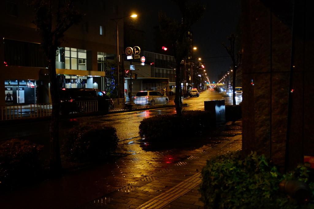 雨の夜