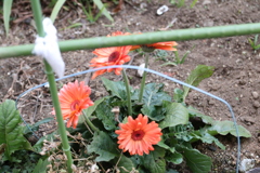 20190102161947_IMG_1590