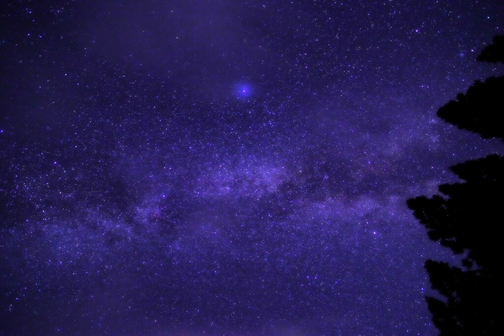 九頭竜天川