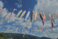 和歌山県九度山の鯉のぼり
