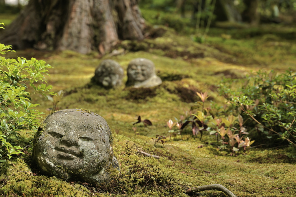 三千院３