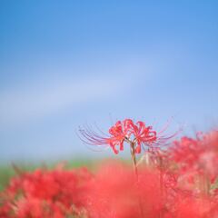 PA031690_21_s