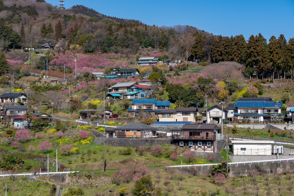 花桃の郷