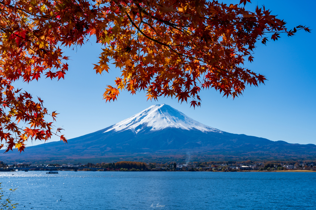 河口湖紅葉