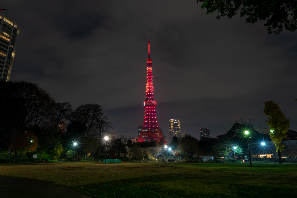 還暦イルミ　公園
