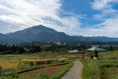 寺坂棚田