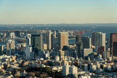 東京シティービューからの眺め
