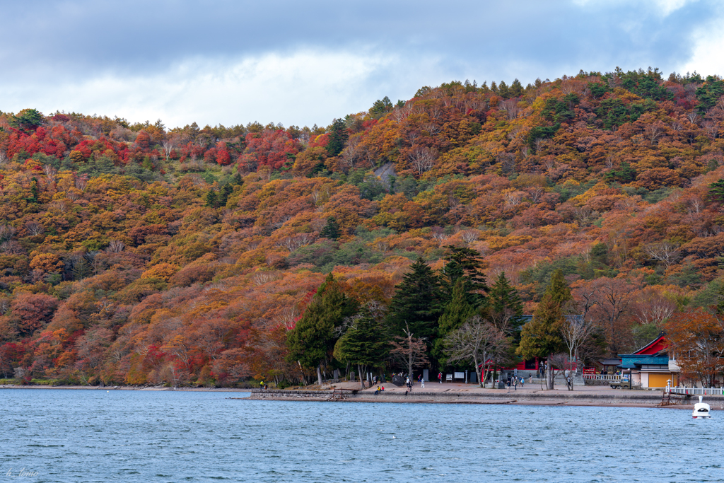 赤城大沼の紅葉