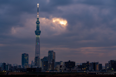 曇天スカイツリー