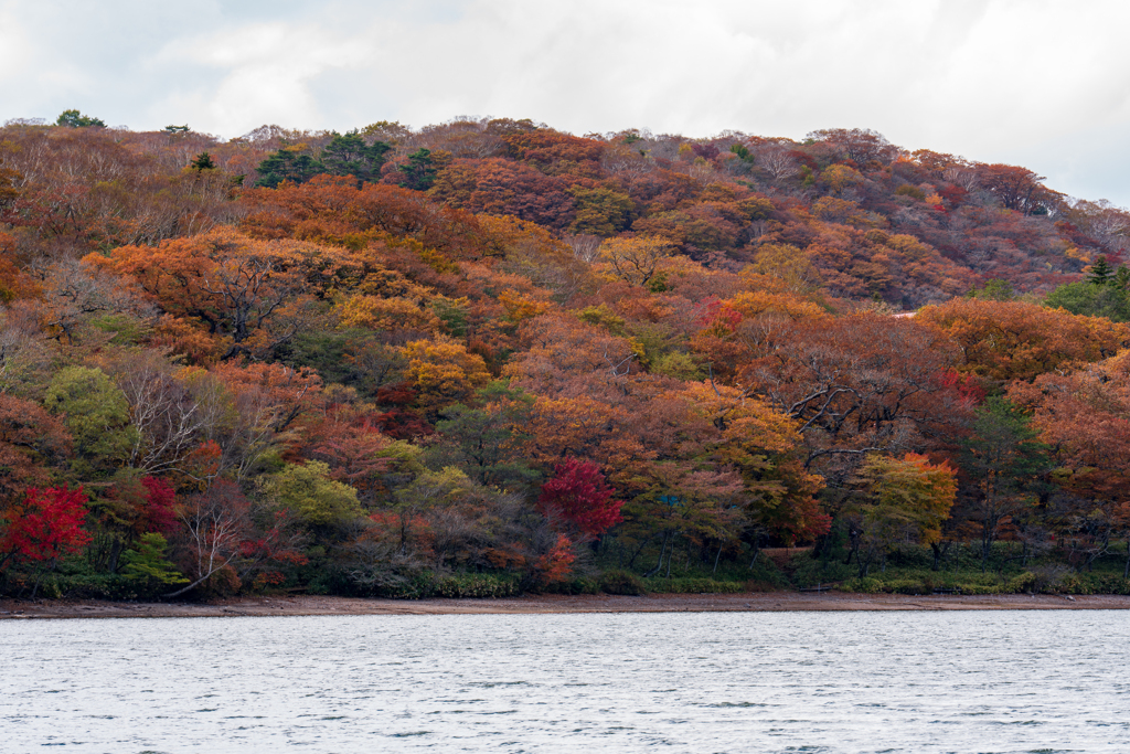 赤城大沼の紅葉