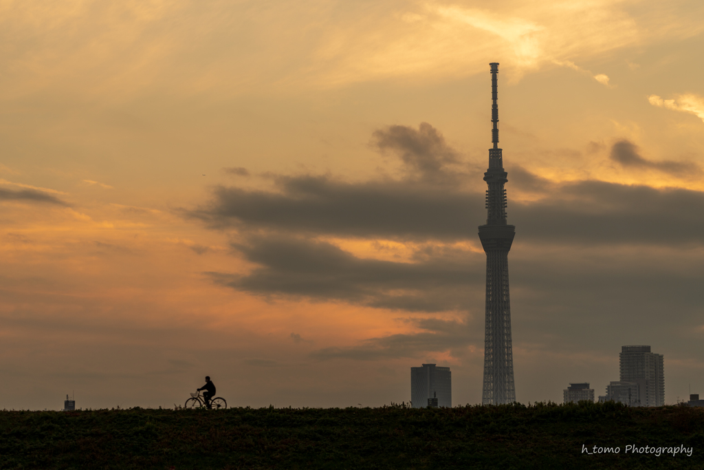 夕暮れスカイツリー