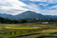 秋の寺坂棚田