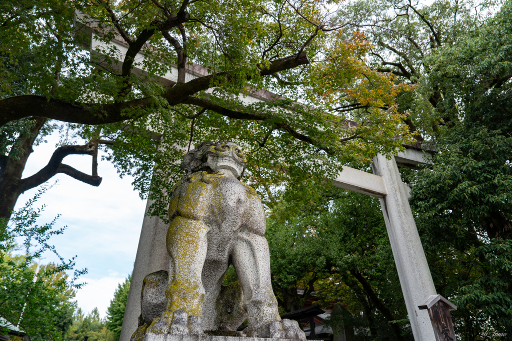 秩父神社