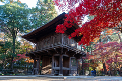 平林寺