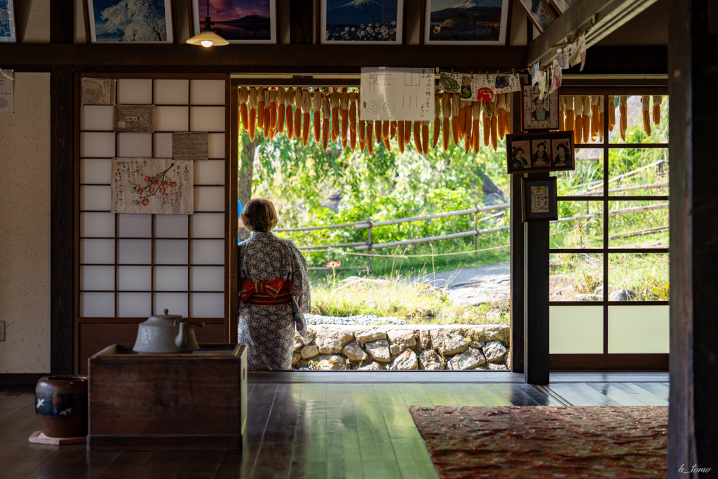 日本の夏風景
