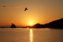 楠泊の夕景