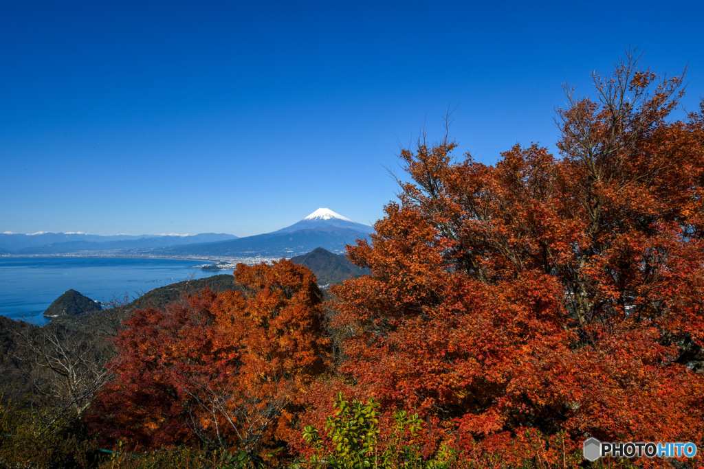富士山と駿河湾。