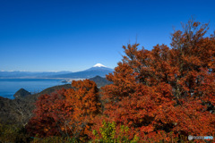 富士山と駿河湾。