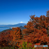 富士山と駿河湾。